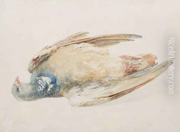 Pigeon, from The Farnley Book of Birds, c.1816 Oil Painting by Joseph Mallord William Turner