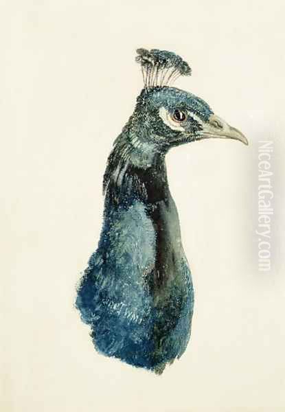 Peacock, from The Farnley Book of Birds, c.1816 Oil Painting by Joseph Mallord William Turner