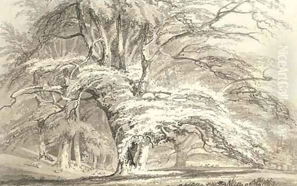 Beech Trees at Cassiobury Park, Hertfordshire Oil Painting by Joseph Mallord William Turner