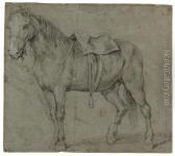 Study Of A Horse Oil Painting by Pieter van Bloemen