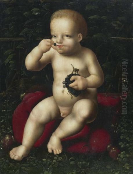 The Infant Jesus With Grapes. Circa 1525-30. Oil Painting by Joos Van Cleve