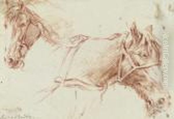 Two Studies Of The Head Of A Horse Oil Painting by Adrian Van De Velde