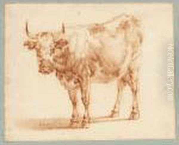 Study Of A Cow Oil Painting by Adrian Van De Velde