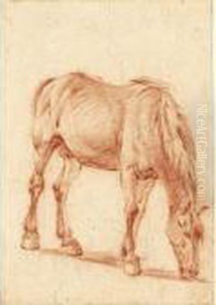 A Grazing Horse Oil Painting by Adrian Van De Velde