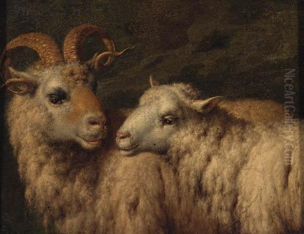 A Ram And A Ewe Oil Painting by Adrian Van De Velde