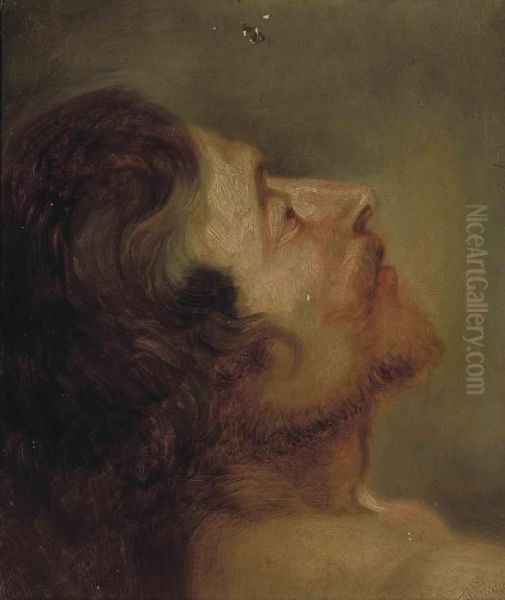 Head Study Of A Bearded Man Oil Painting by Sir Anthony Van Dyck