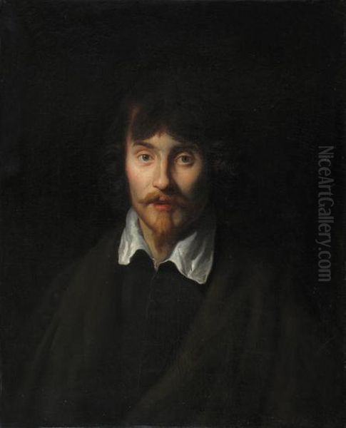 Ritratto Digiovane Uomo, A Mezzo Busto In Abito Scuro Oil Painting by Sir Anthony Van Dyck