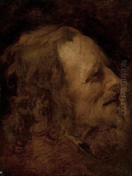 Head Study Of An Old Man Oil Painting by Sir Anthony Van Dyck