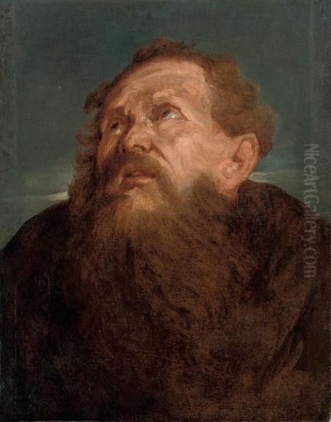 Head Study Of A Franciscan Saint Oil Painting by Sir Anthony Van Dyck