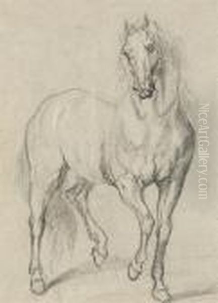 A Horse Oil Painting by Sir Anthony Van Dyck