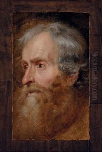 Head Of An Old Man Oil Painting by Sir Anthony Van Dyck