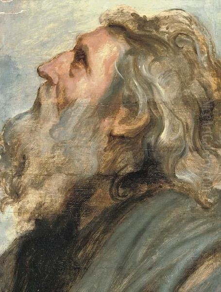 Head Of An Old Man Oil Painting by Sir Anthony Van Dyck