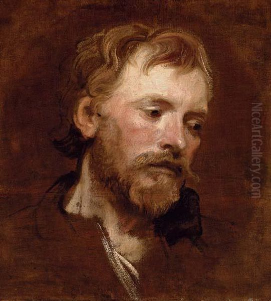 A Bearded Man, A Study Oil Painting by Sir Anthony Van Dyck