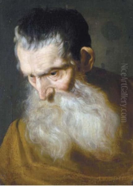 Head Of A Bearded Man Oil Painting by Sir Anthony Van Dyck