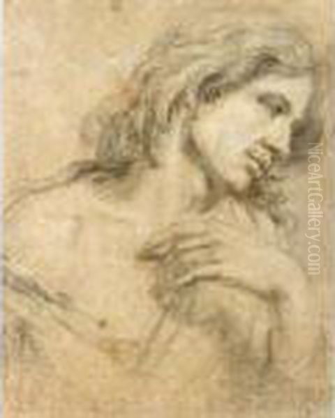 Study Of A Youth, Head And Shoulders by Sir Anthony Van Dyck