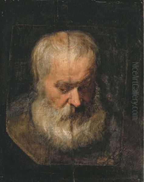 A Head Study Of A Bearded Man Oil Painting by Sir Anthony Van Dyck