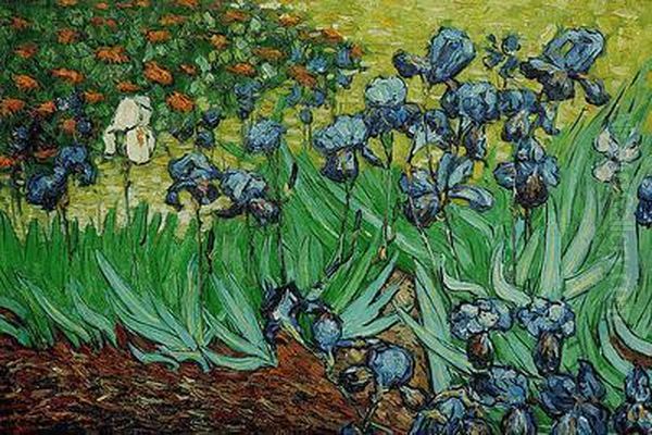 Irises Oil Painting by Vincent Van Gogh