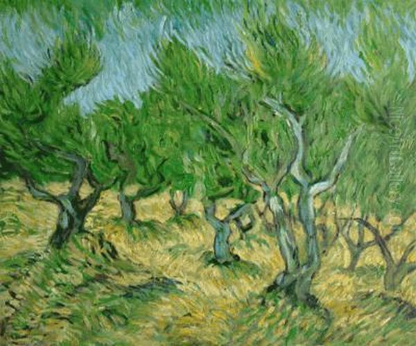 Olive Grove Oil Painting by Vincent Van Gogh