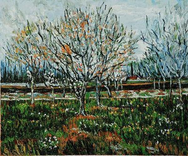 Orchard In Blossom Oil Painting by Vincent Van Gogh