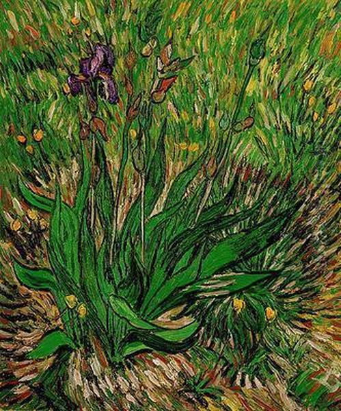 The Iris Oil Painting by Vincent Van Gogh