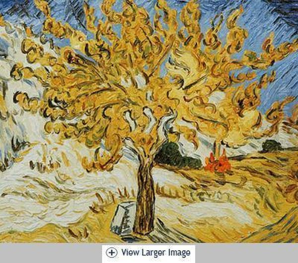 The Mulberry Tree Oil Painting by Vincent Van Gogh