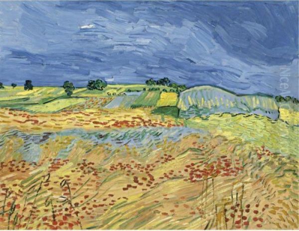 The Fields (wheat Fields) Oil Painting by Vincent Van Gogh