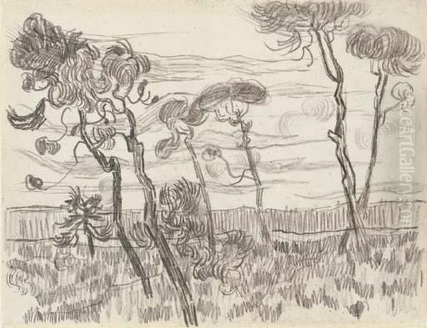 Six Pines Near The Enclosure Wall Oil Painting by Vincent Van Gogh