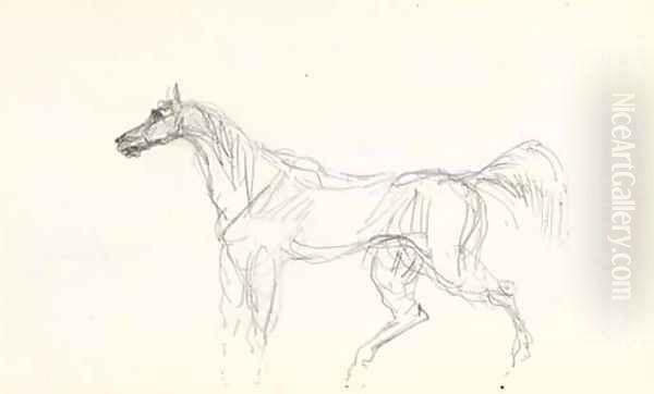 Cheval 2 Oil Painting by Henri De Toulouse-Lautrec