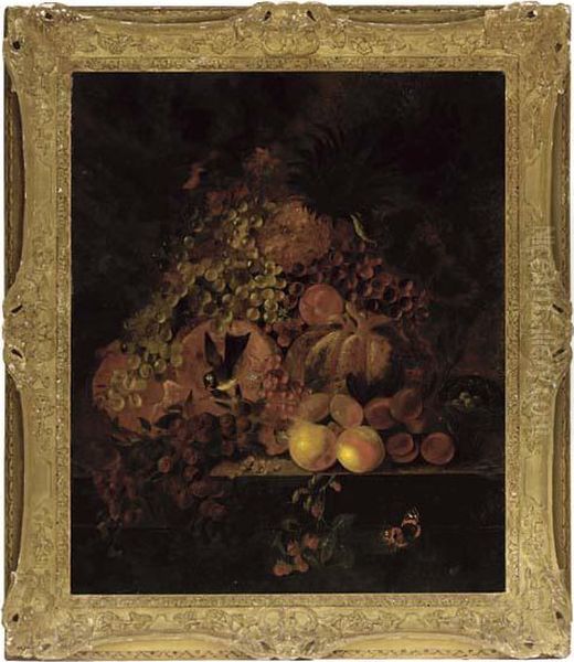 Grapes, Pumpkins, Pears, Plums And Berries With Song Birds, On A Stone Ledge Oil Painting by Jan Van Huysum