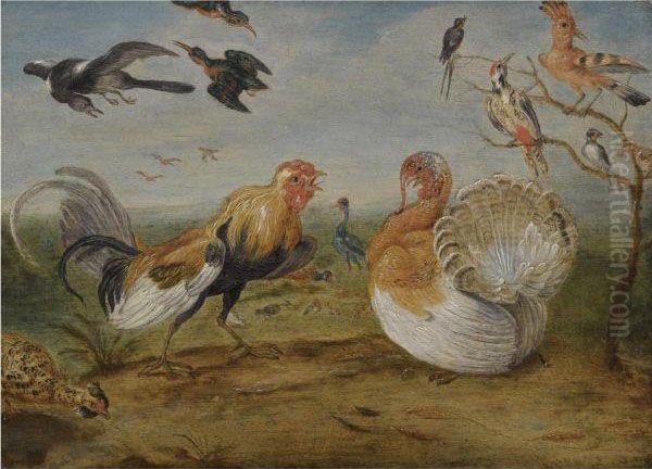 A Landscape With A Cockerel And A Turkey Squabbling, And Otherfowl Oil Painting by Jan van Kessel