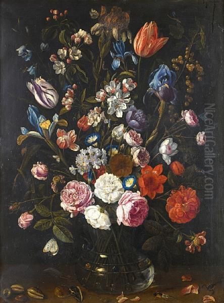 A Still Life Of Tulips, Irises, 
Apple Blossom,roses, Convolvulus, Gooseberries And Other Flowers In A 
Glass Vasewith Shells, Caterpillars, A Dragonfly And Other Insects Oil Painting by Jan van Kessel