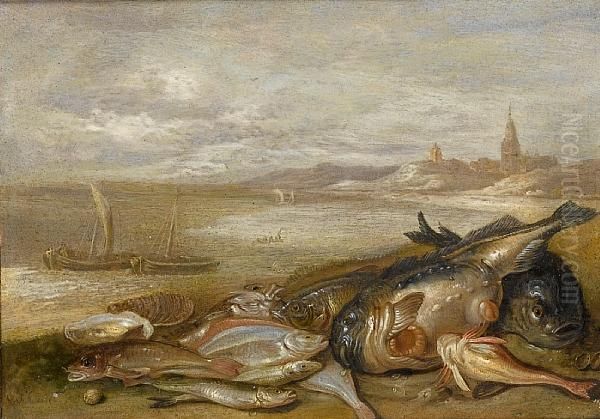 A Still Life Of Various Fish And Crustacea On A Beach Oil Painting by Jan van Kessel