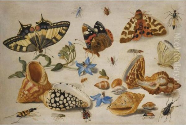 A Swallowtail Oil Painting by Jan van Kessel