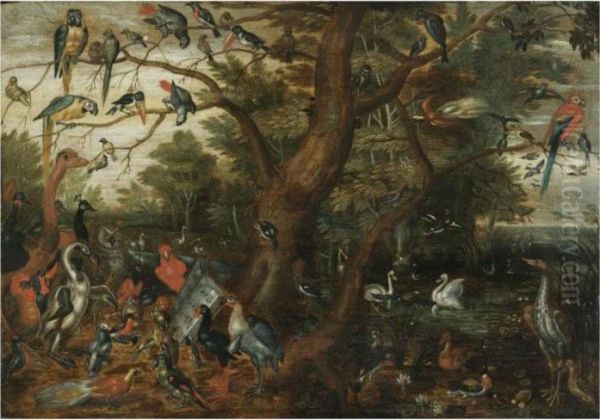 A Concert Of Birds Oil Painting by Jan van Kessel