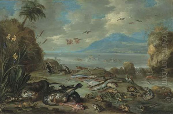 Poissons, Grenouilles, Loutres, Tortues Et Autres Animaux Sur Unrivage Oil Painting by Jan van Kessel