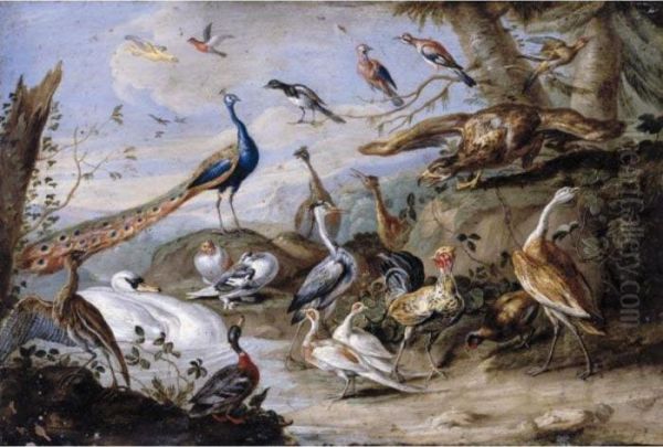 An Eagle, Peacocks, Doves, 
Herons, A Cockerel, A Hen, A Mallard, A Swan And Other Birds On A 
Riverbank Oil Painting by Jan van Kessel