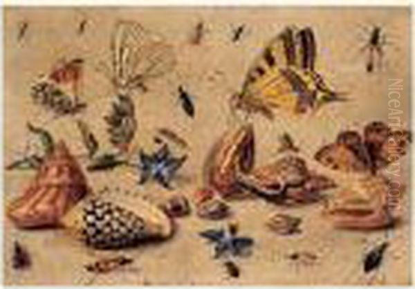 Papillons Et Insectes Autour De Coquillages Oil Painting by Jan van Kessel