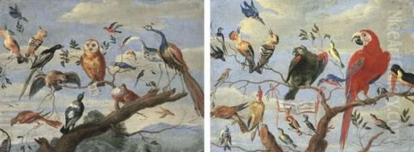 A Concert Of Birds: An Owl, 
Pidgeon, Canary, Peacock And Other Birds On A Tree Branch; Bluebirds, A 
Parrot, A Macaw, A Tucan And Other Birds On A Tree Branch Oil Painting by Jan van Kessel