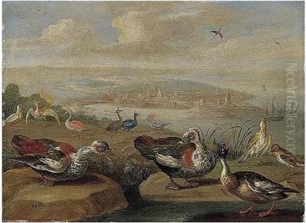 Ducks And Other Birds On The Seashore Oil Painting by Jan van Kessel