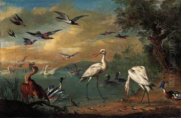 Two Spoonbills, A Heron, Swans, 
Moorhens, Bullfinches, Kingfishers,a Swallow And Other Birds In A 
Coastal Landscape; And Parrots, Aheron, Kingfishers And Other Birds In 
An Extensive Landscape Oil Painting by Jan van Kessel