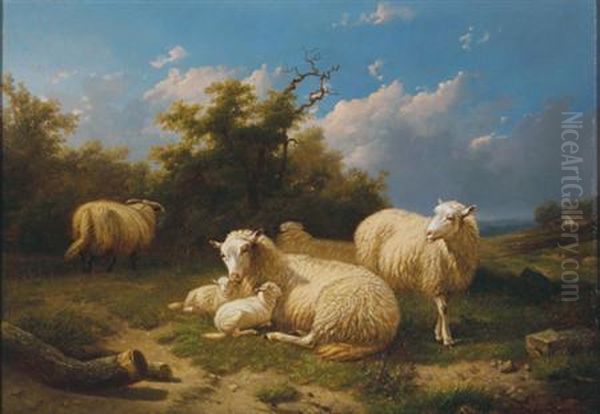 Family Of Sheep At Rest In A Field Oil Painting by Cornelis van Leemputten