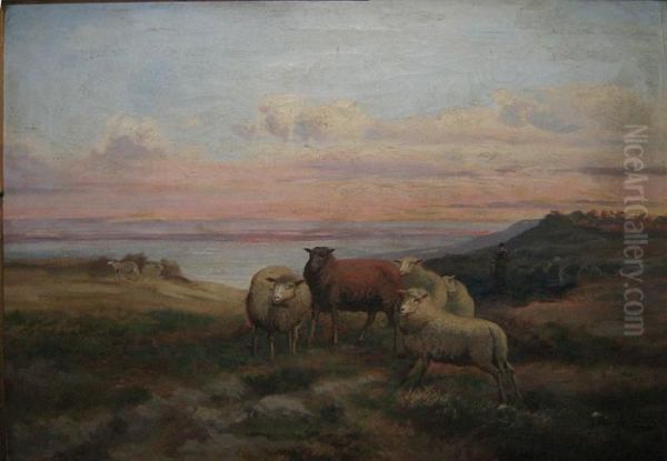 Schapen Aan De Kust Oil Painting by Jef Louis Van Leemputten