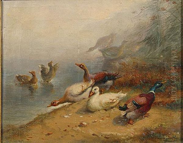 Eendjes Aan Het Water. Oil Painting by Jef Louis Van Leemputten