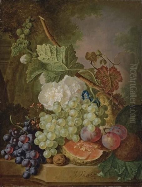 Flowers, Grapes, Plums, Walnuts And A Melon On A Stone Ledge Oil Painting by Jan van Os