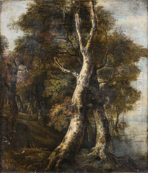 A Wooded River Landscape Oil Painting by Jacob Van Ruisdael