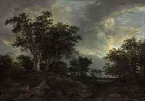 A Wooded Landscape With A Pond Oil Painting by Jacob Van Ruisdael