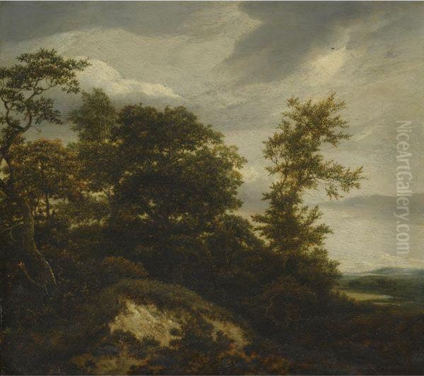 A Wooded Dune Landscape Oil Painting by Jacob Van Ruisdael