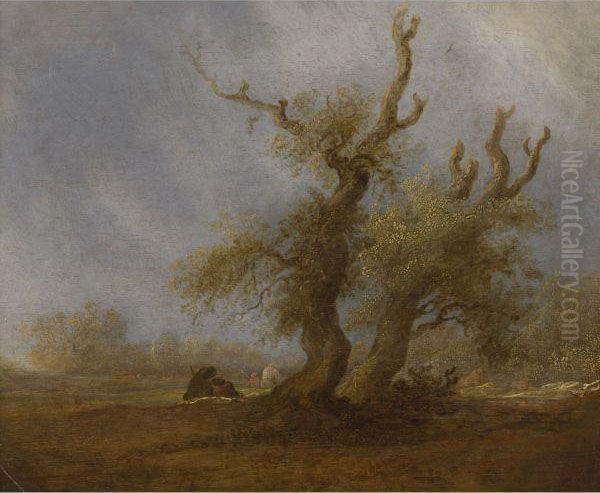 Wooded Landscape With A Shepherd Oil Painting by Salomon van Ruysdael