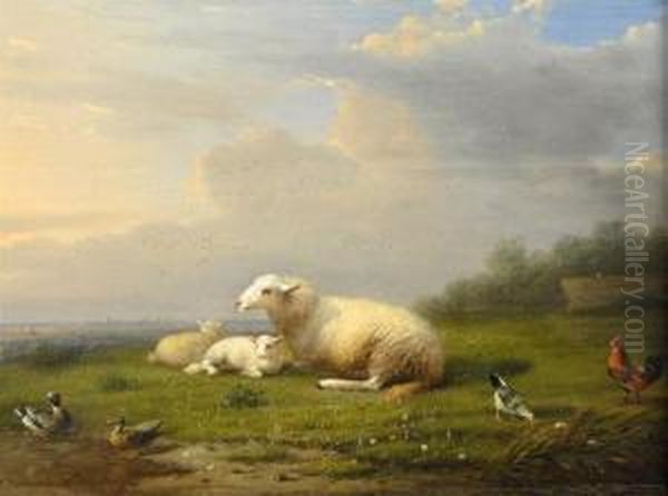 Sheep, Ducks, Chicken And Rooster Oil Painting by Franz van Severdonck