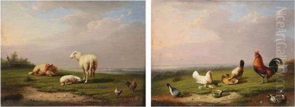 Schapen, Haan En Kippen Inlandschap. Oil Painting by Franz van Severdonck